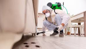 Best Emergency Pest Control  in Northridge, OH